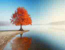 最​新﻿API接​口‍工‌具‍